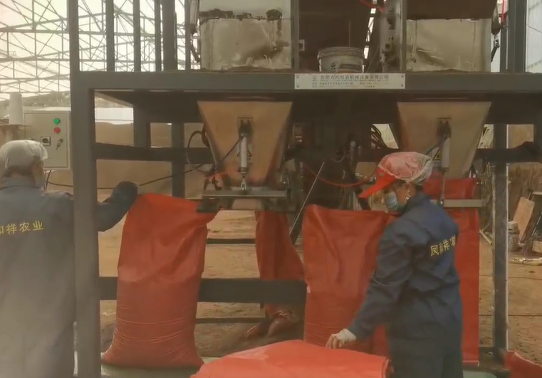 �P�����r(n��ng)�I(y��)���b�Cҕ�l